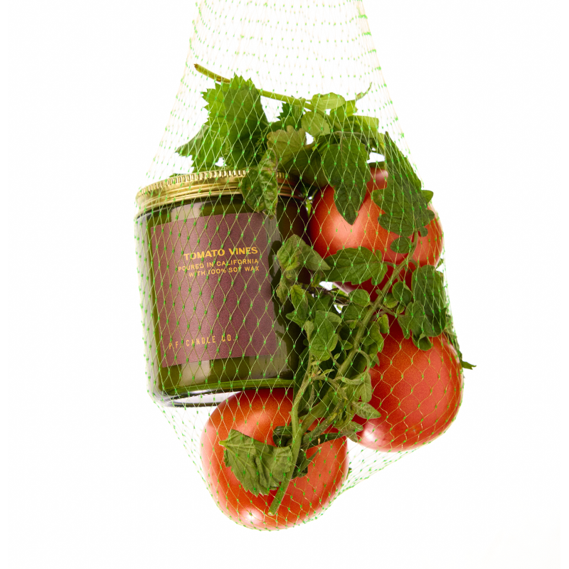 Tomato Vines